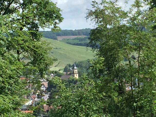 Evangelische Kirche in Flein vom Haigern aus
