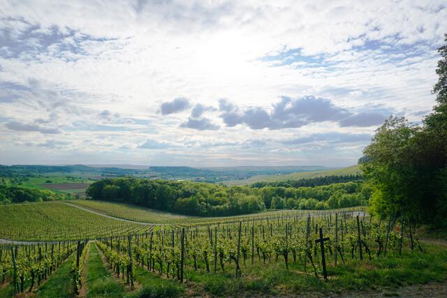Frühling über dem Deinenbachtal