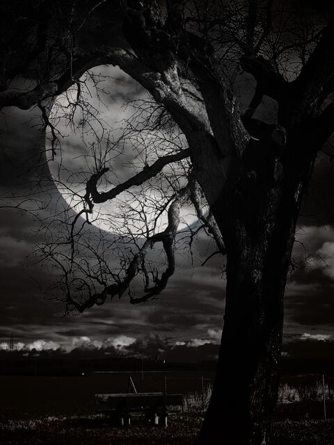 Der Mond ist sogar in der falschen Himmelsrichtung. Der Birnbaum war eine markante Stelle oberhalb von Güglingen. War, bis Orkan Sabine im Frühjahr kam.