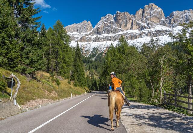 Auf einer Passstraße zum Rosengarten - ECHT!