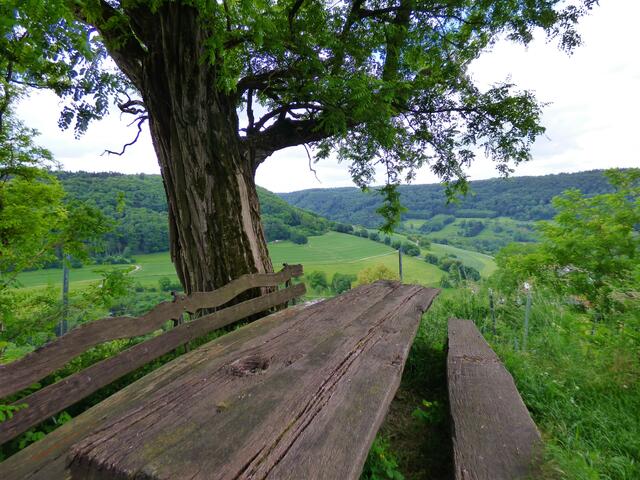 Der Wanderweg führt von Kocherstetten hinauf auf Schloss Stetten. Es geht steil bergauf und oben kommt dieser Rastplatz mit schöner Aussicht ins Kochertal gerade recht.