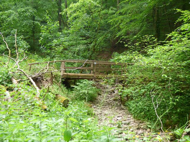 Der Pfad wird wilder und kommt bei einem alten Holzbrückchen an