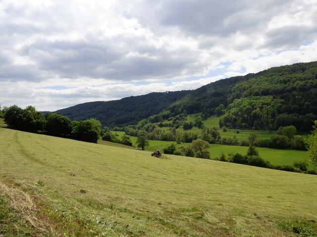 Es sieht etwas gewittrig aus. Auf den Feldern wird in der ruhigen und beschaulichen Landschaft Heu gewendet.