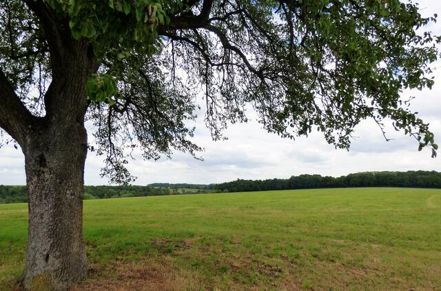 Blick über offene Landschaft
