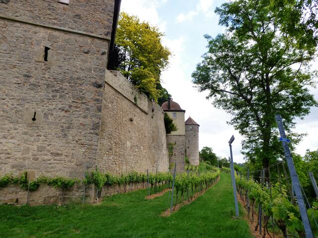Die trutzigen Mauern schützten die Burg