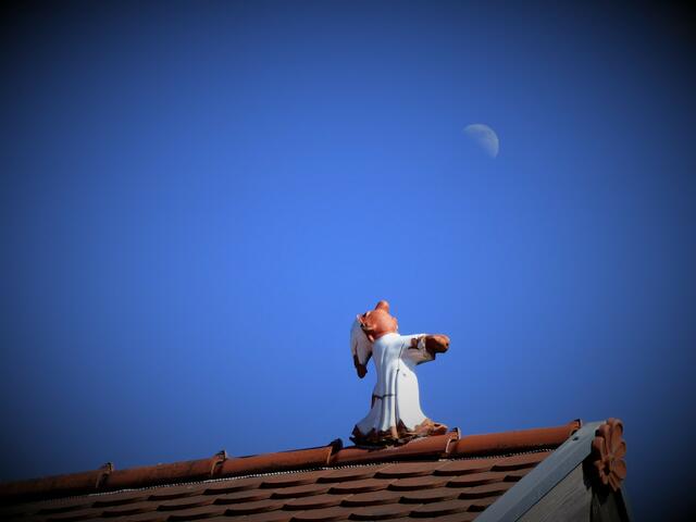 Wann wird endlich wieder Vollmond?
