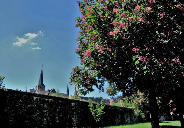 bei den Klostermauern