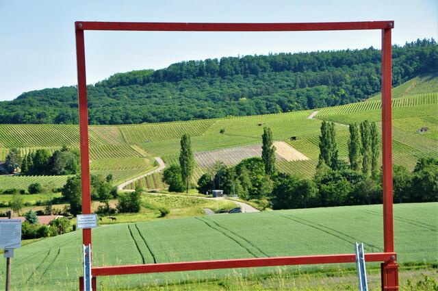 Naturkino FLEIN