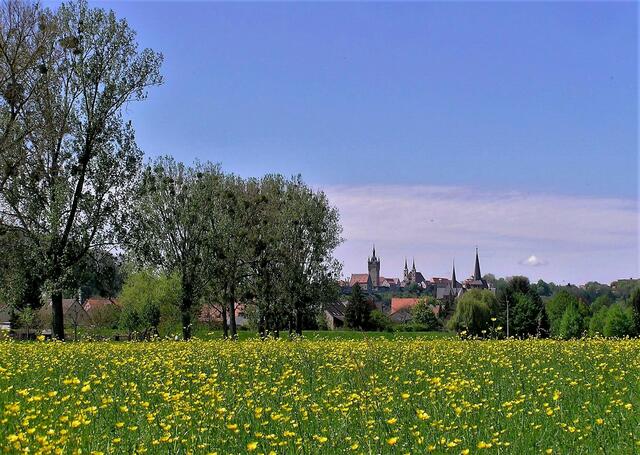 Panorama mit Wiese