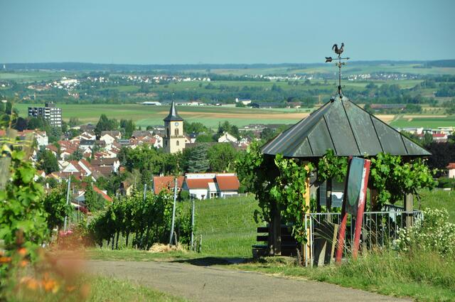 Papillon am Eselsberg mit Blick auf Flein
