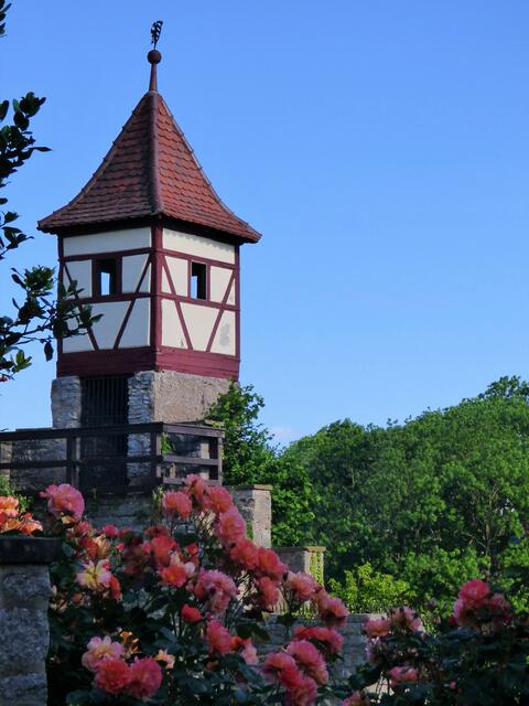 Der Blick über Rosen zum Nürnberger Türmchen