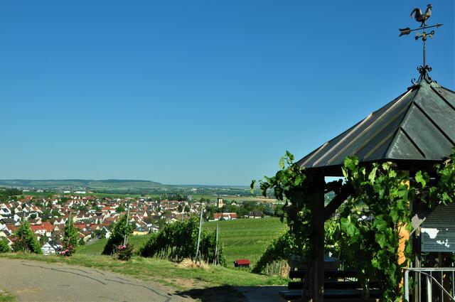 Vom Eselsberg mit Blick auf die Ev. Kirche St. Veitskirche