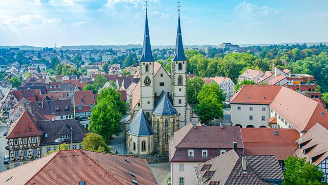 Bad Wimpfen vom Blauen Turm (2)