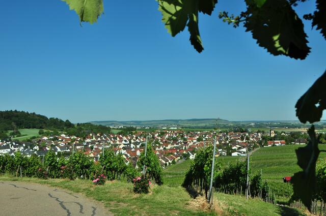 Flein Blick vom Eselsberg