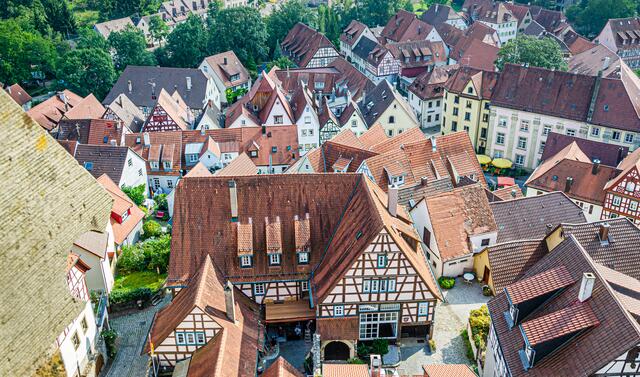 Bad Wimpfen vom Blauen Turm (3)