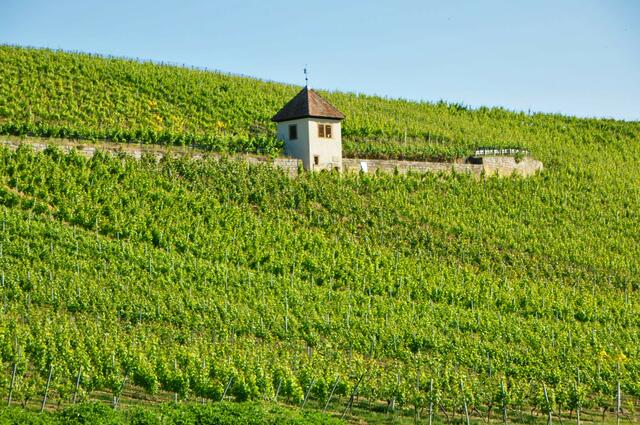 Das 1537 errichtete Karmeliterhäuschen in den Weinbergen