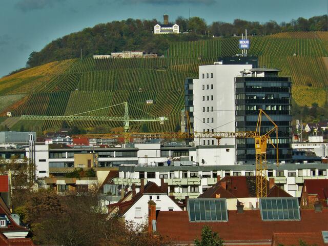 Neckarturm mit Wartberg