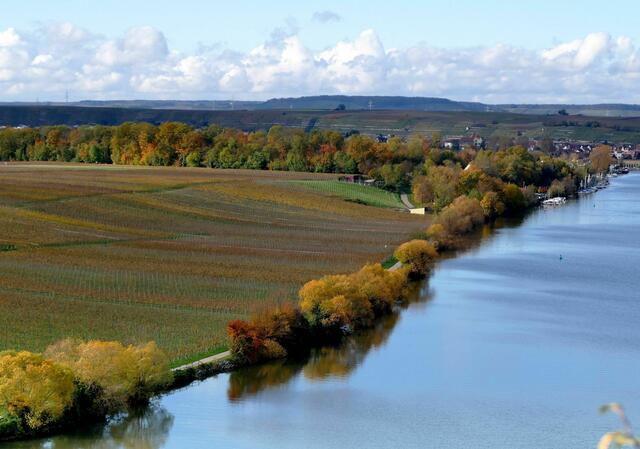 Neckar in Lauffen