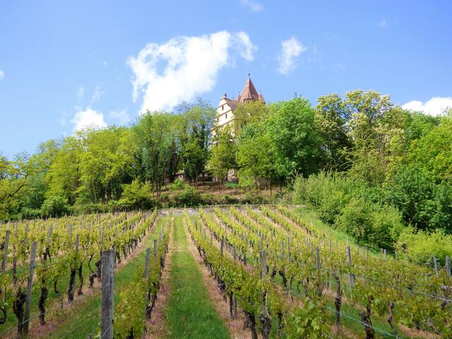 Blick hinauf zum Schloss Stockheim