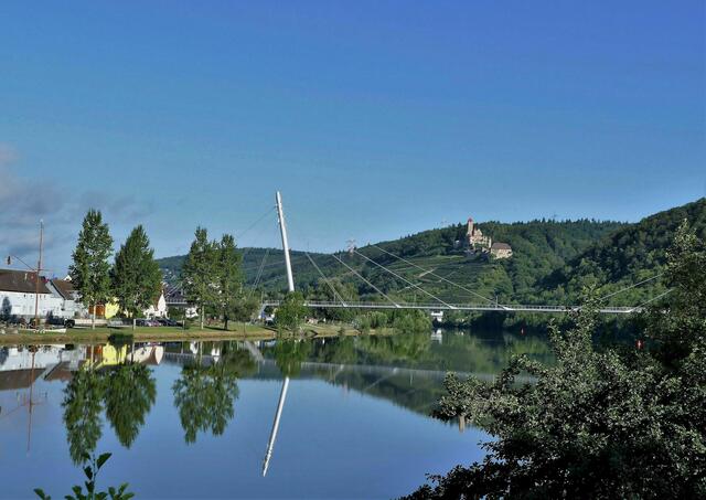 Neckar und Burg Hornberg
