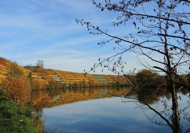 Neckarschlaufe bei Lauffen