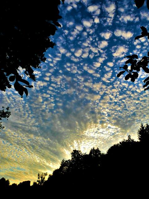 Blick nach oben in den abendlichen Himmel