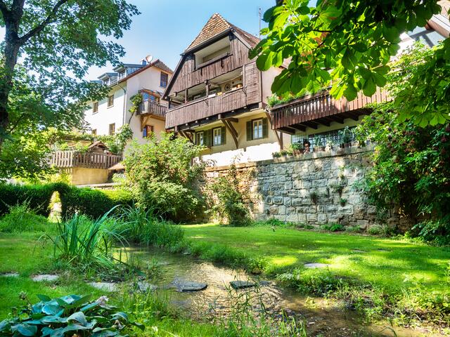 Im Hofgarten von Öhringen