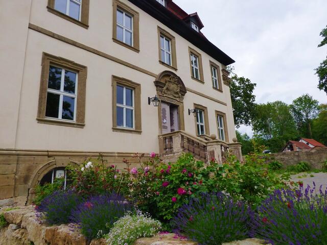 Rosen und Lavendel vor dem Barockschloss