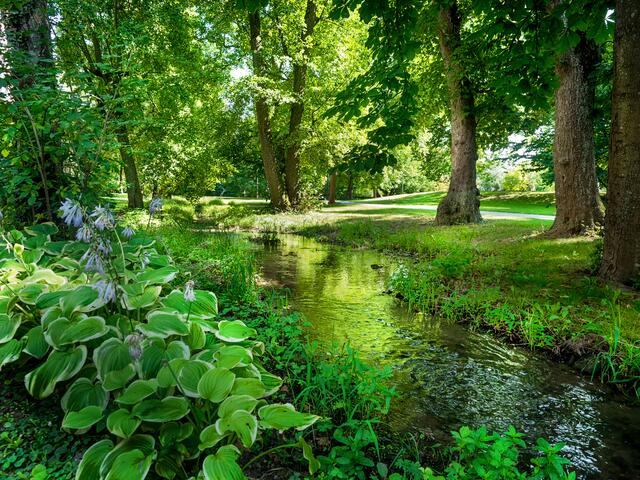 Malerischer Hofgarten von Öhringen