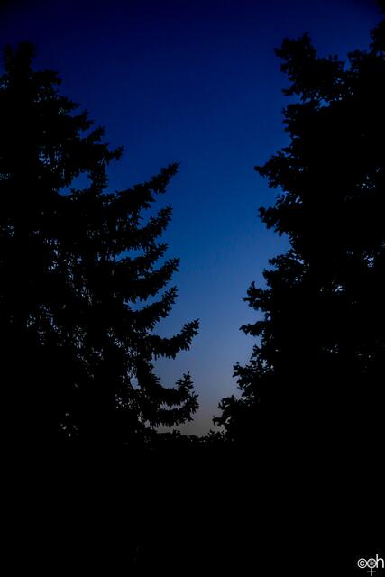 Sonnenuntergang Ute