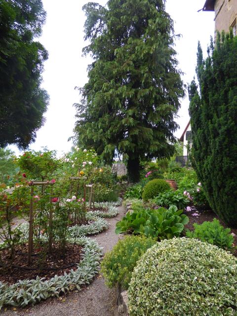 Der kleine Burggarten ist hübsch angelegt