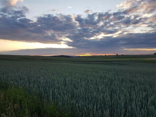 Sonnenuntergang auf den Feldern von Siegelsbach