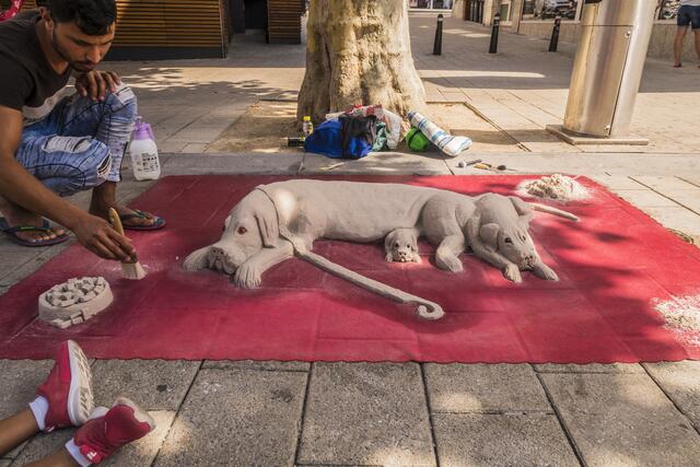 Kunst in der Fußgängerzone - Hunde aus Sand