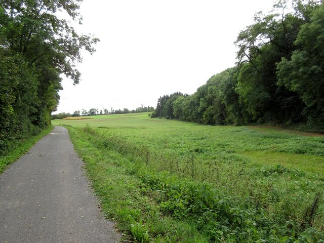 Wanderweg entlang der Schozach