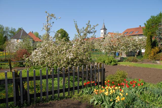 Siegelsbacher Schrebergärten