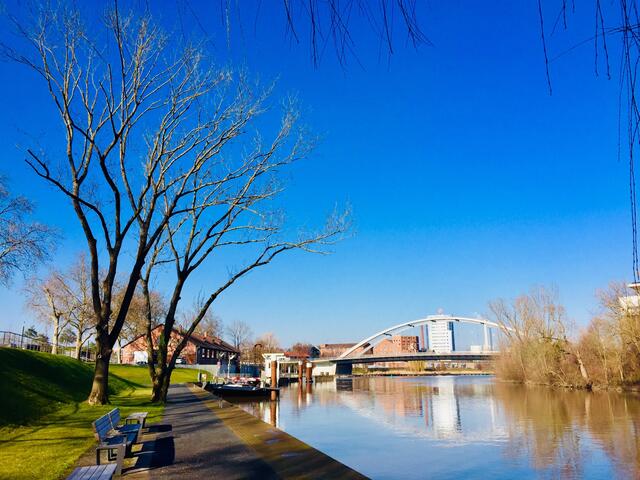 Idylle am Neckar