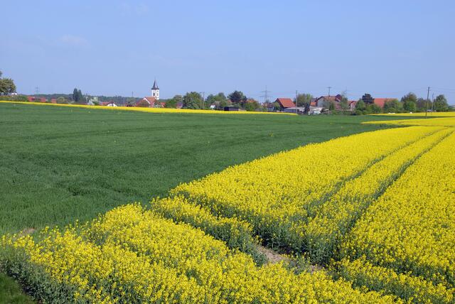 Siegelsbacher Landwirtschaft