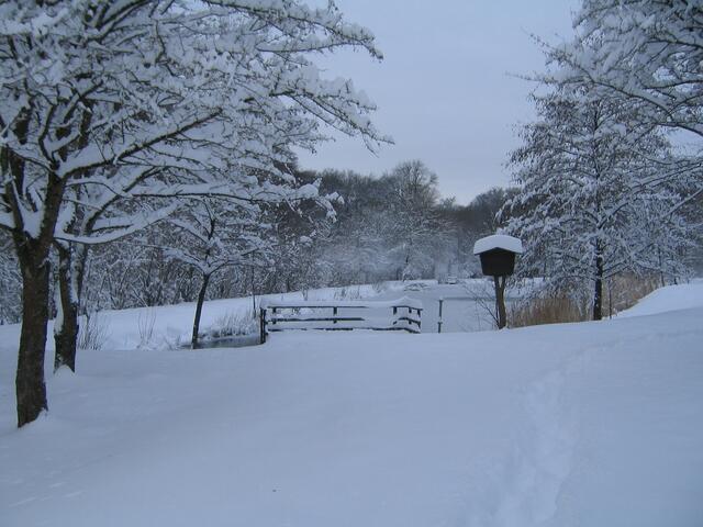 Herbert Bopp See - Dezember 2010