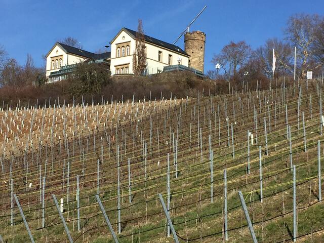 Wartberg
