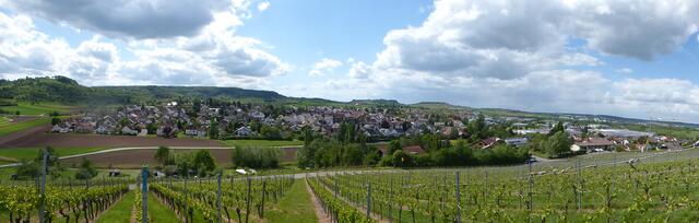 Pfedelbach