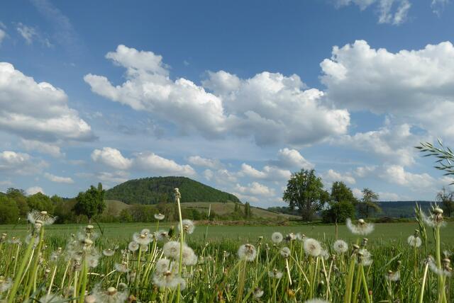 Wilfersberg -Untersteinbach