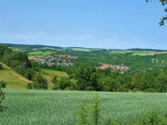 Malerischer Blick auf Widdern - von der Burkhardtsruhe aus 02.06.2011