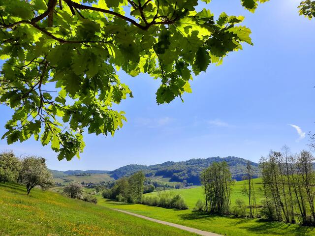 Natur pur in Untersteinbach