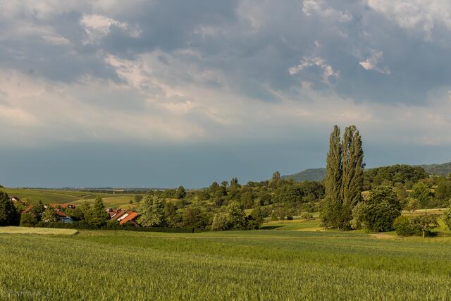 Natur pur rund um Pfedelbach