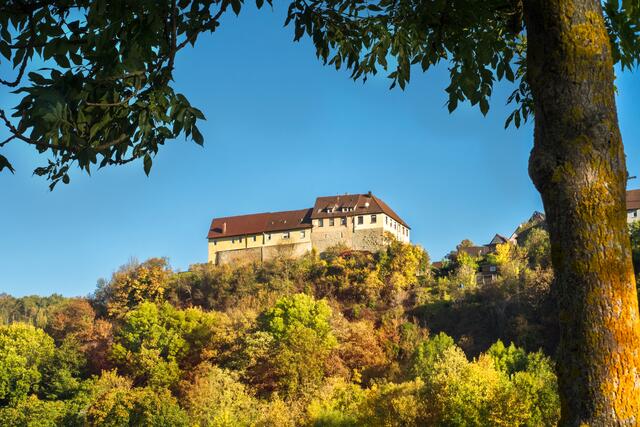 Burg Nagelsberg, Rest einer Höhenburg