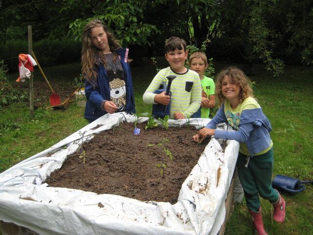 Das Hochbeet ist bepflanzt.