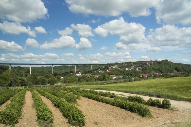 Widdern Panoramabild 01