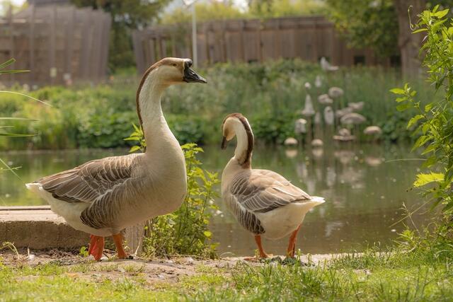 Öhringen: Leben, arbeiten und die Freizeit verbringen