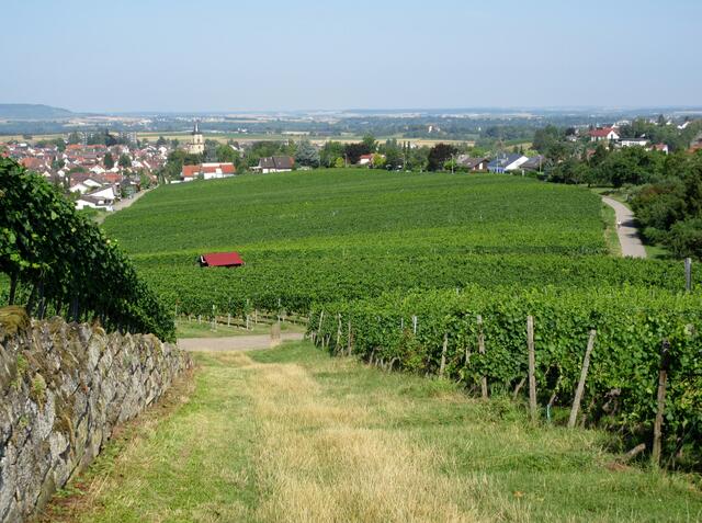 Flein ist wie "Klein"-Heilbronn, es gibt auch eine Armsündersteige