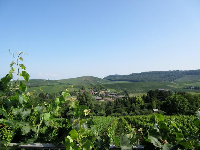 Aussicht vom Eselberg zum Staufenberg